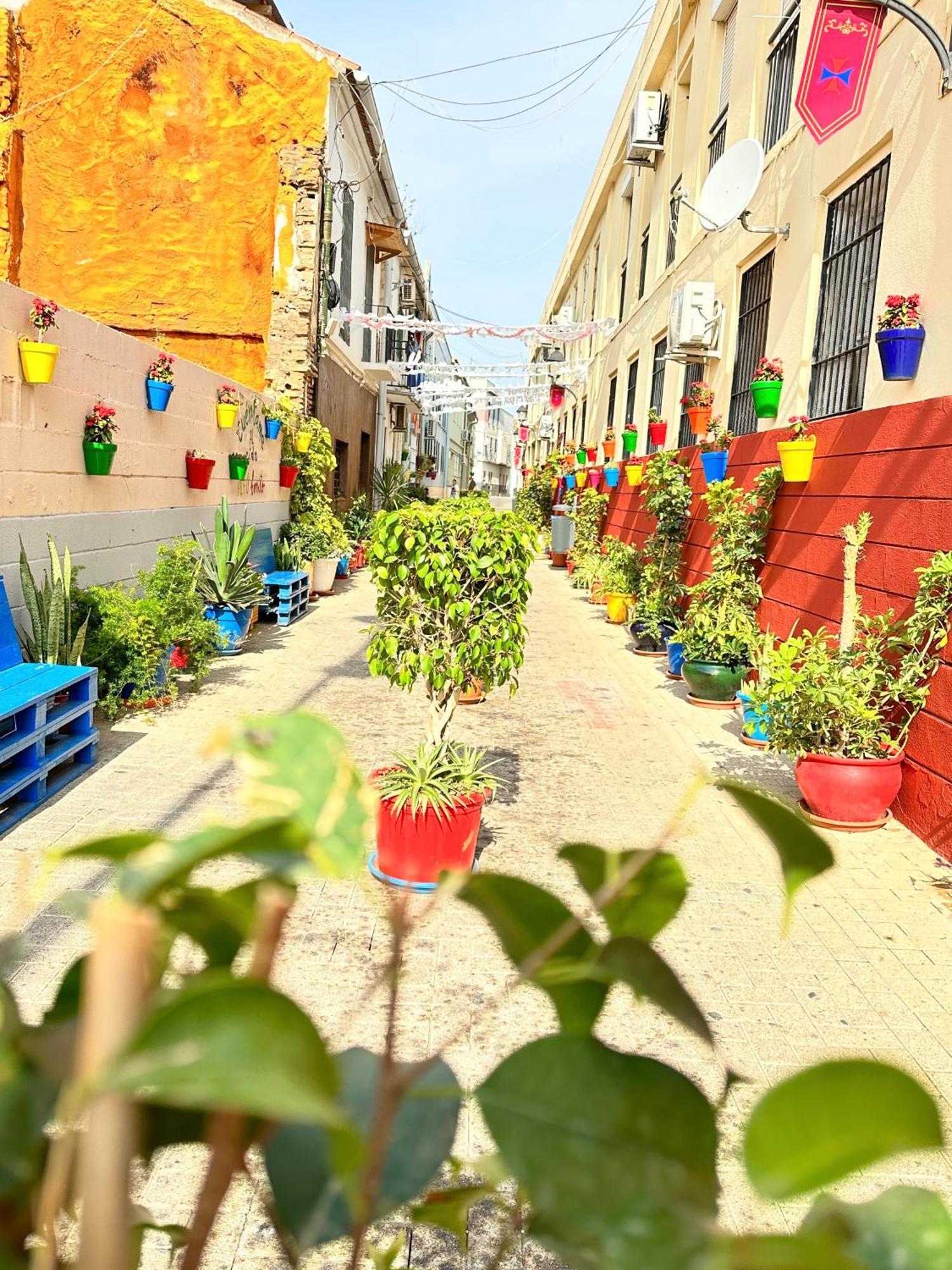 Jara Apartments ! Μάλαγα Εξωτερικό φωτογραφία